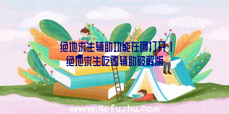 「绝地求生辅助功能在哪打开」|绝地求生吃鸡辅助破解版